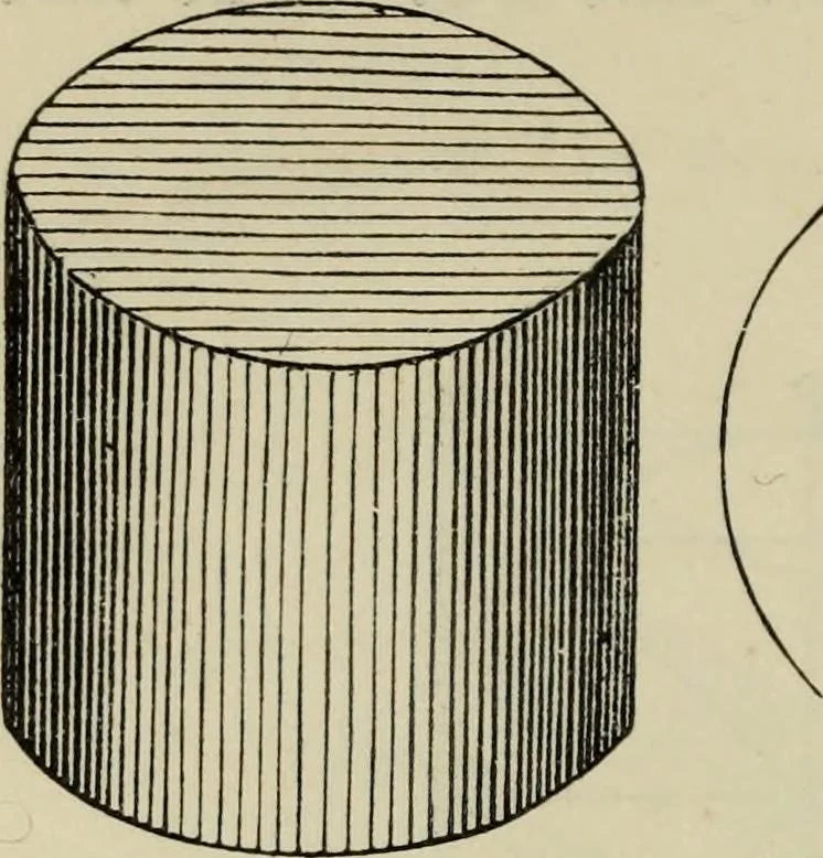 An illustration from The illustrated London drawing book ..., 1853, leaf 131