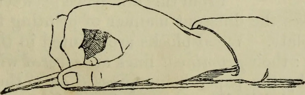 An illustration from The illustrated London drawing book ..., 1853, leaf 148