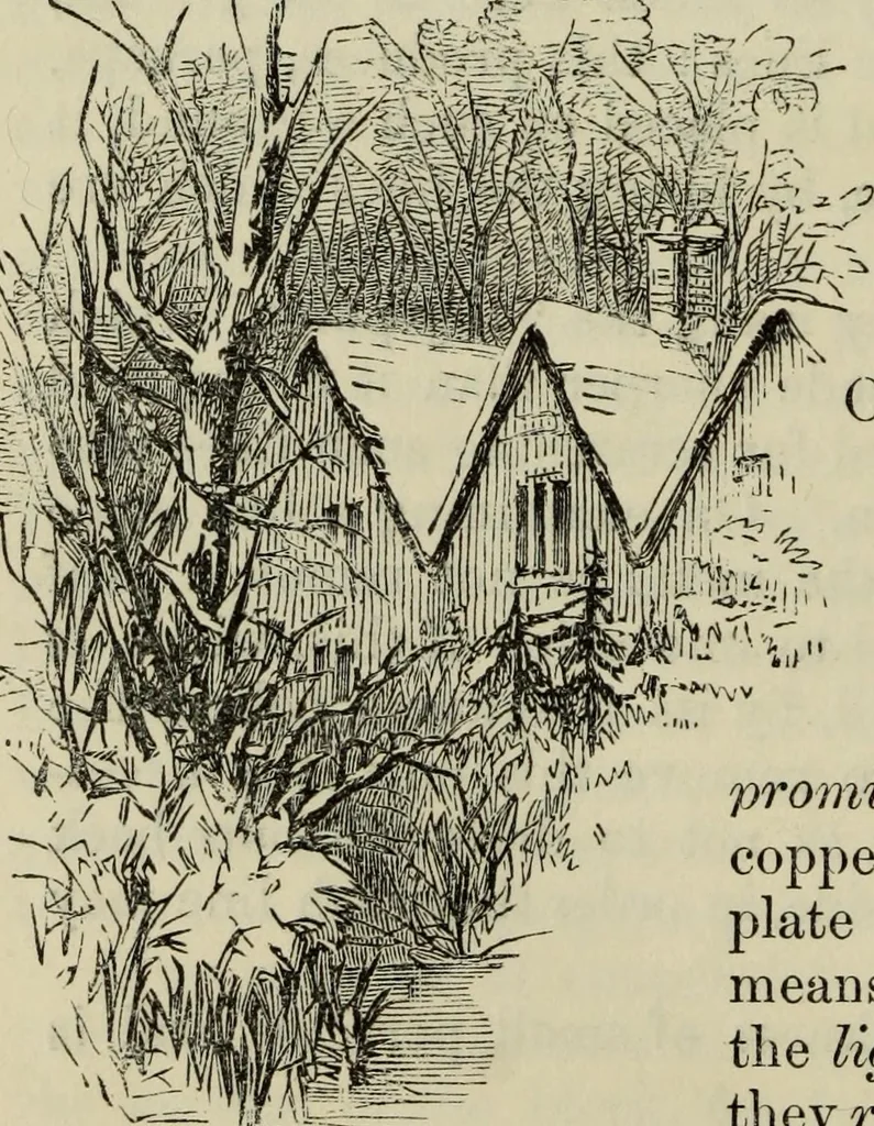An illustration from The illustrated London drawing book ..., 1853, leaf 149