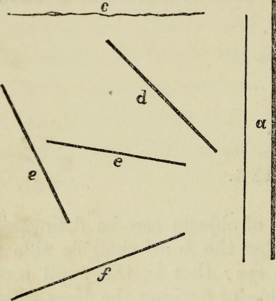 An illustration from The illustrated London drawing book ..., 1853, leaf 15