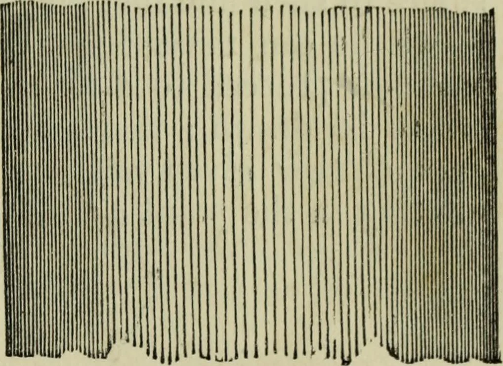 An illustration from The illustrated London drawing book ..., 1853, leaf 16