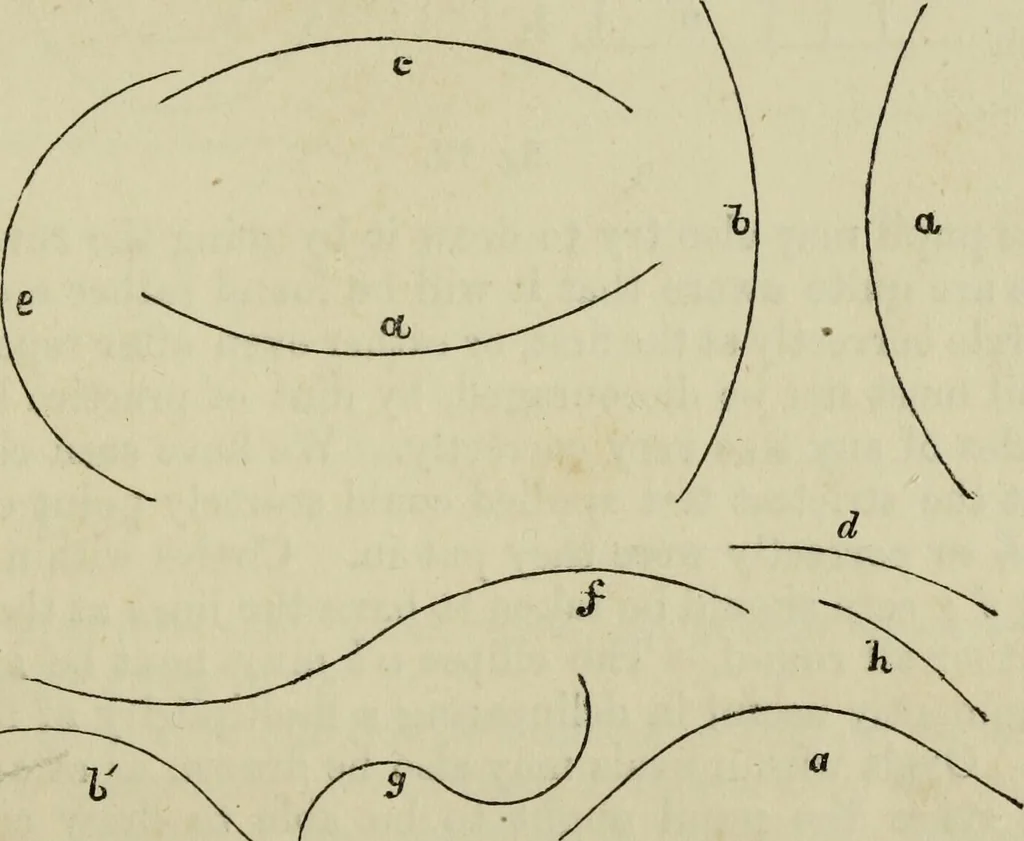 An illustration from The illustrated London drawing book ..., 1853, leaf 18