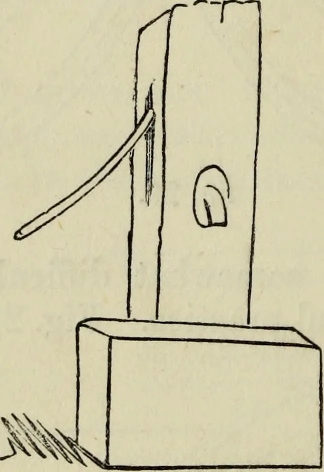 An illustration from The illustrated London drawing book ..., 1853, leaf 23