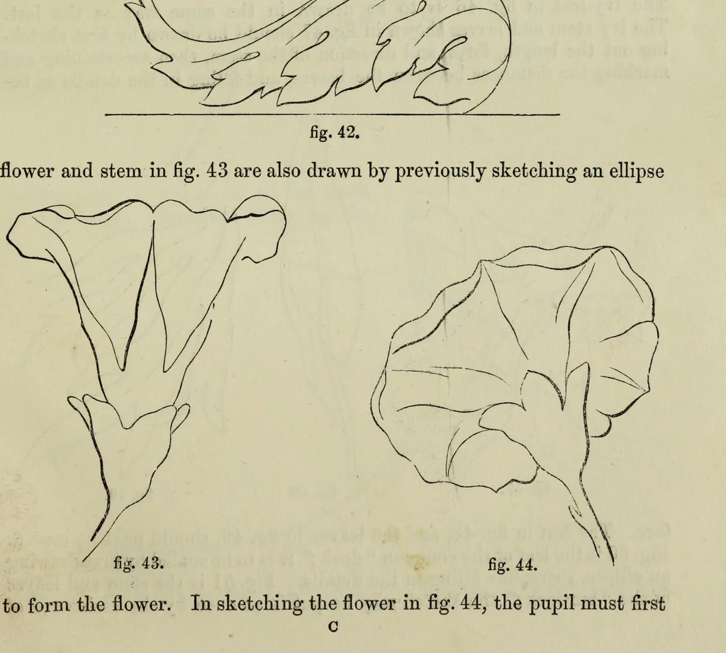 An illustration from The illustrated London drawing book ..., 1853, leaf 26