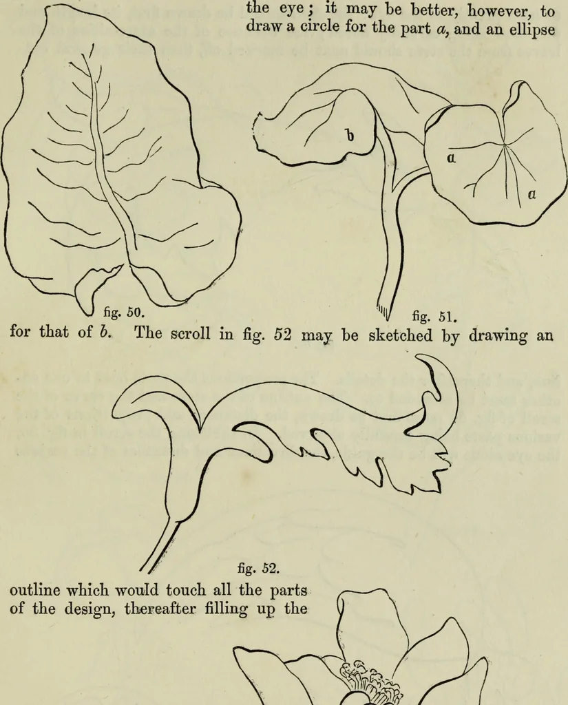 An illustration from The illustrated London drawing book ..., 1853, leaf 28