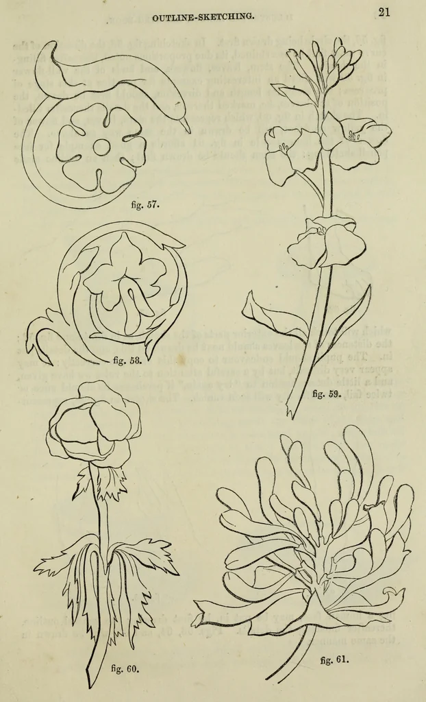 An illustration from The illustrated London drawing book ..., 1853, leaf 30