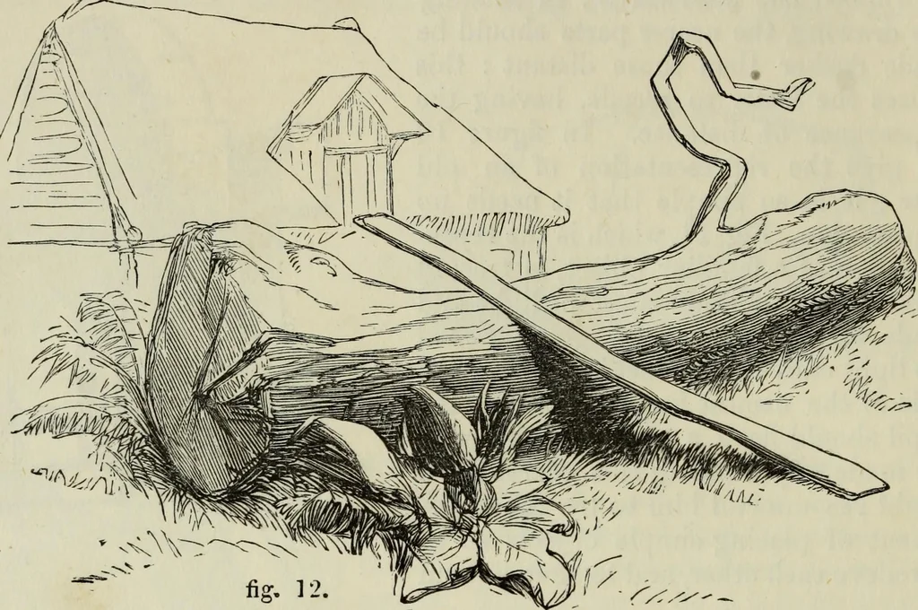 An illustration from The illustrated London drawing book ..., 1853, leaf 35