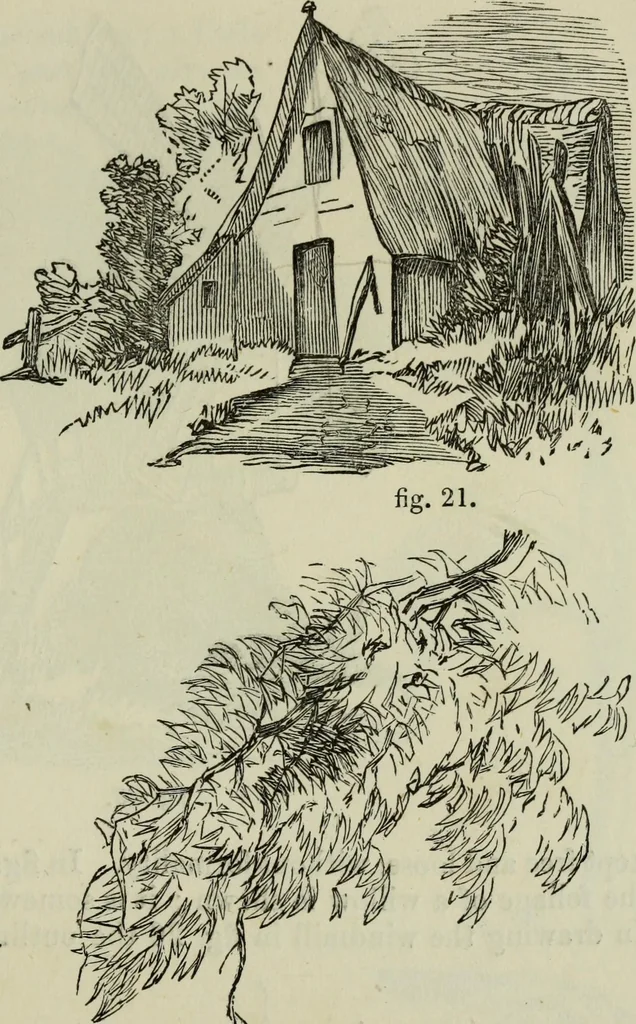 An illustration from The illustrated London drawing book ..., 1853, leaf 38