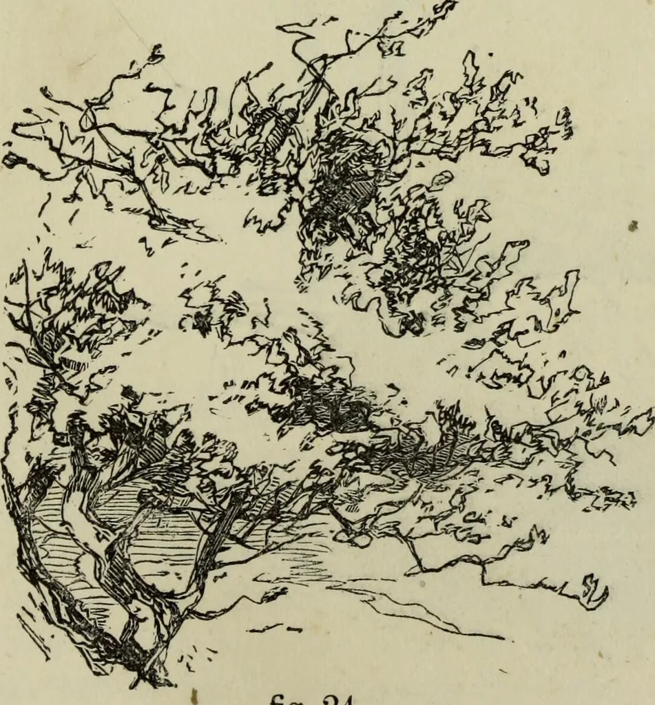 An illustration from The illustrated London drawing book ..., 1853, leaf 38