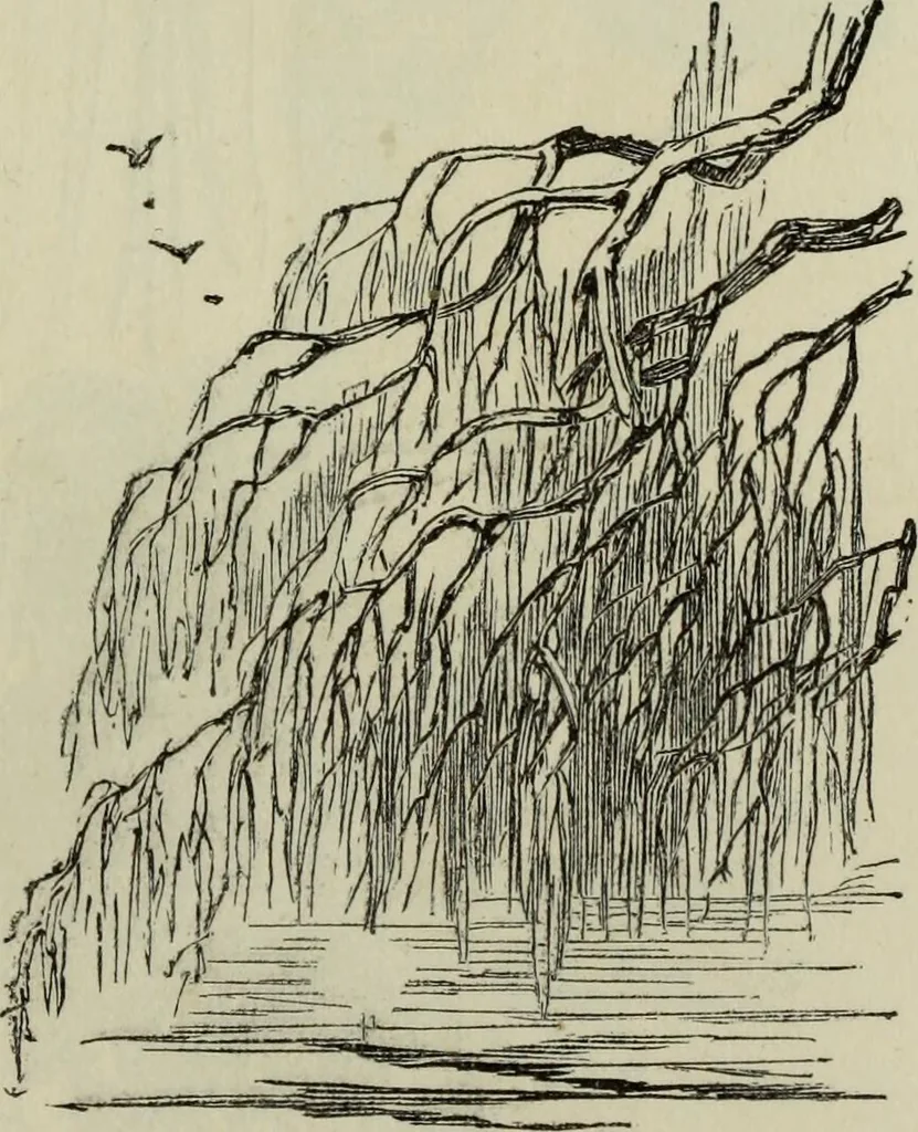 An illustration from The illustrated London drawing book ..., 1853, leaf 38