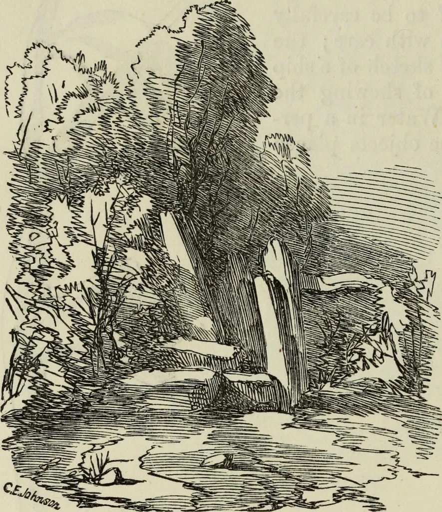 An illustration from The illustrated London drawing book ..., 1853, leaf 41