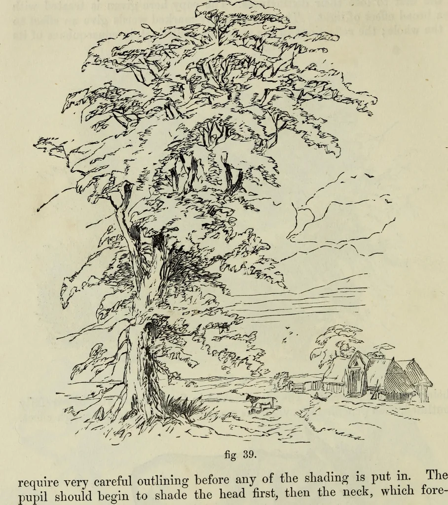 An illustration from The illustrated London drawing book ..., 1853, leaf 45