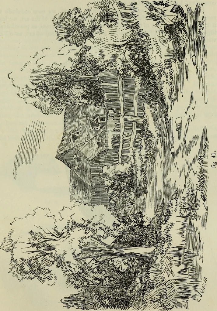 An illustration from The illustrated London drawing book ..., 1853, leaf 46