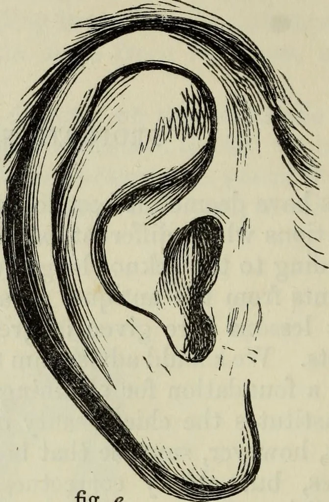 An illustration from The illustrated London drawing book ..., 1853, leaf 49