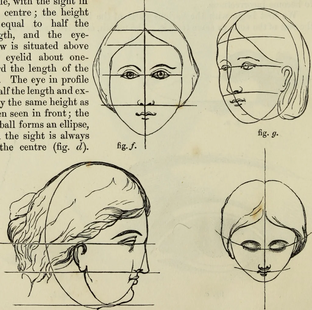 An illustration from The illustrated London drawing book ..., 1853, leaf 49