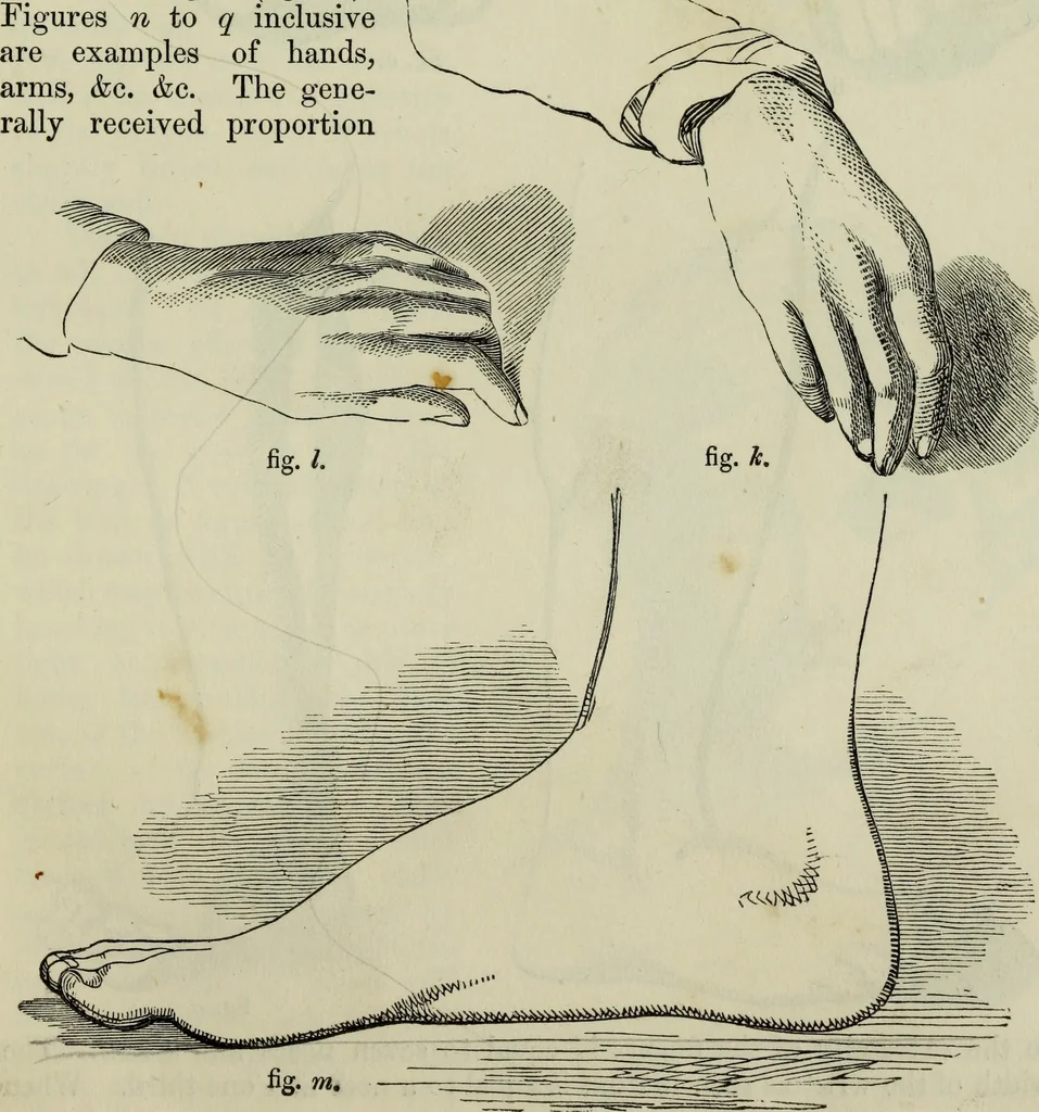 An illustration from The illustrated London drawing book ..., 1853, leaf 50