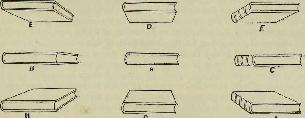 An illustration from The illustrated London drawing book ..., 1853, leaf 58