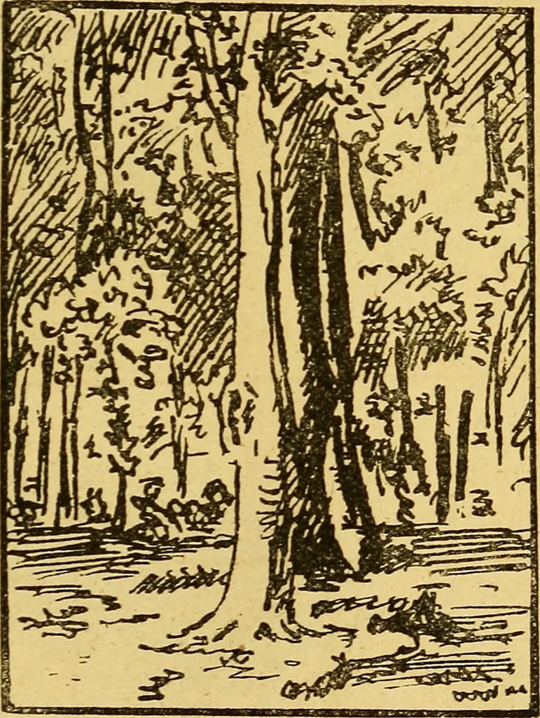 An illustration from Illustrated notes upon the pictures in the Dramatic Fine Art Gallery, 1880., 1880, leaf 18