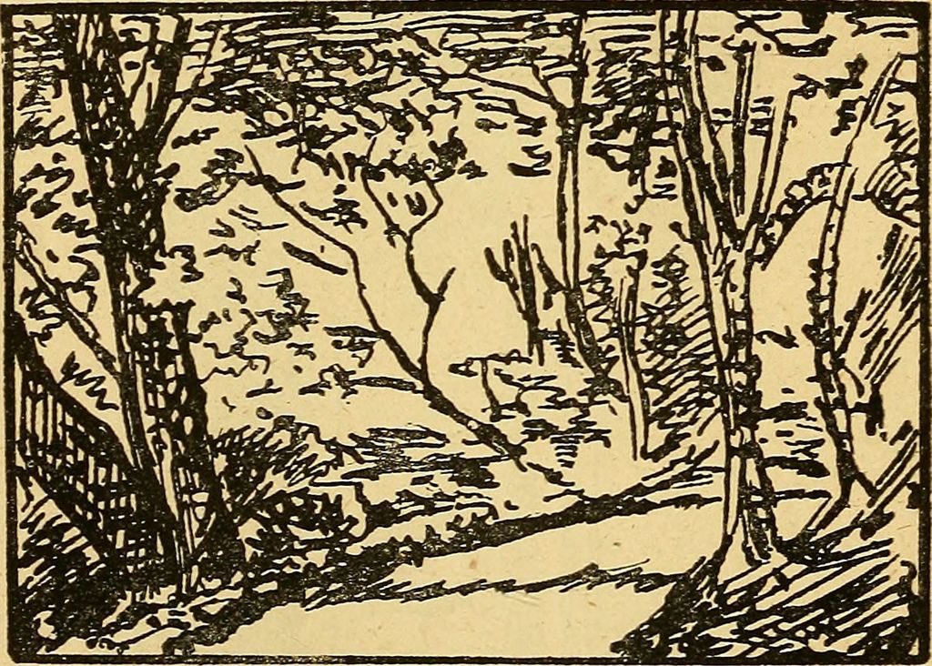 A Forest Pen sketch