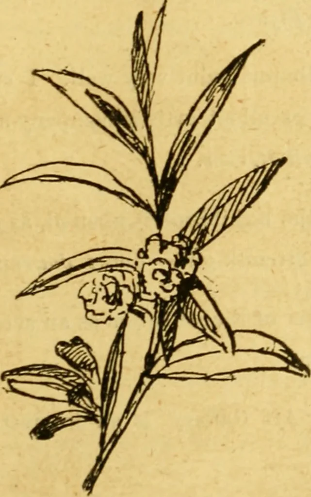 An illustration from Illustrated notes upon the pictures in the Dramatic Fine Art Gallery, 1880., 1880, leaf 48