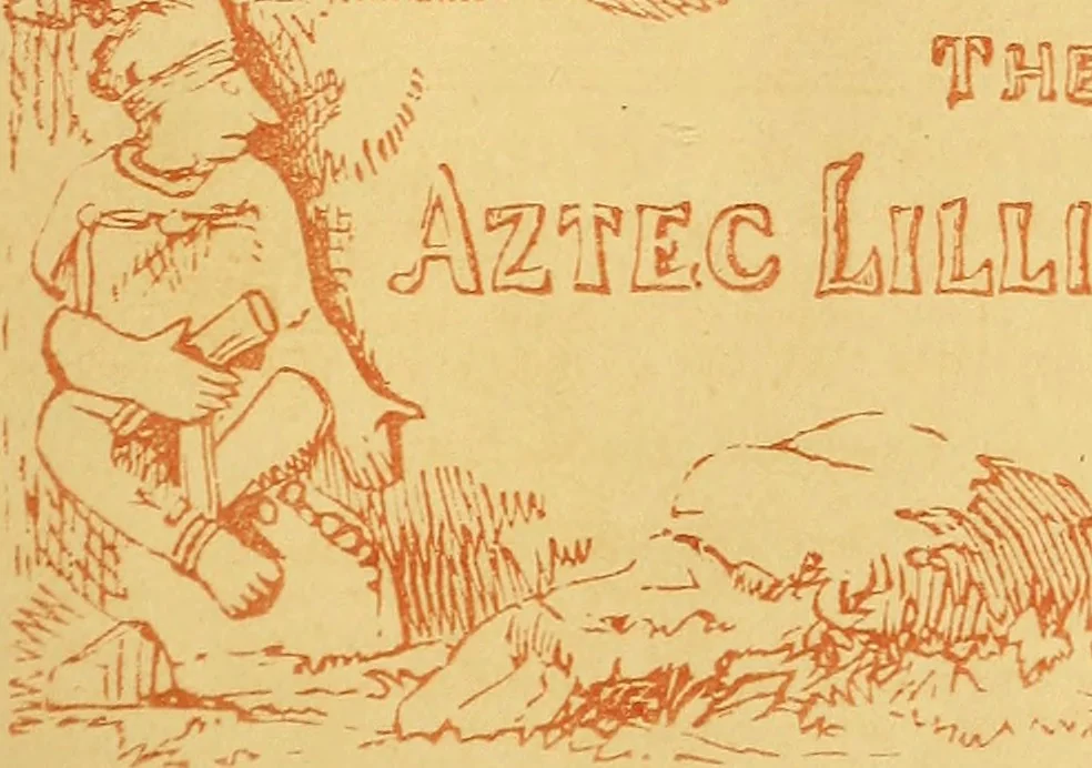 An illustration from Illustrated notes upon the pictures in the Dramatic Fine Art Gallery, 1880., 1880, leaf 56