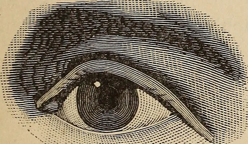 An illustration from Illustrated physiognomy, 1879, leaf 20