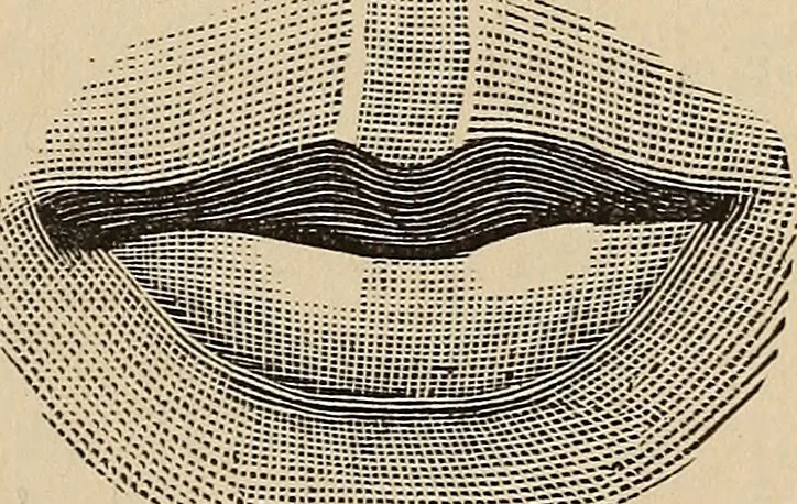 An illustration from Illustrated physiognomy, 1879, leaf 24