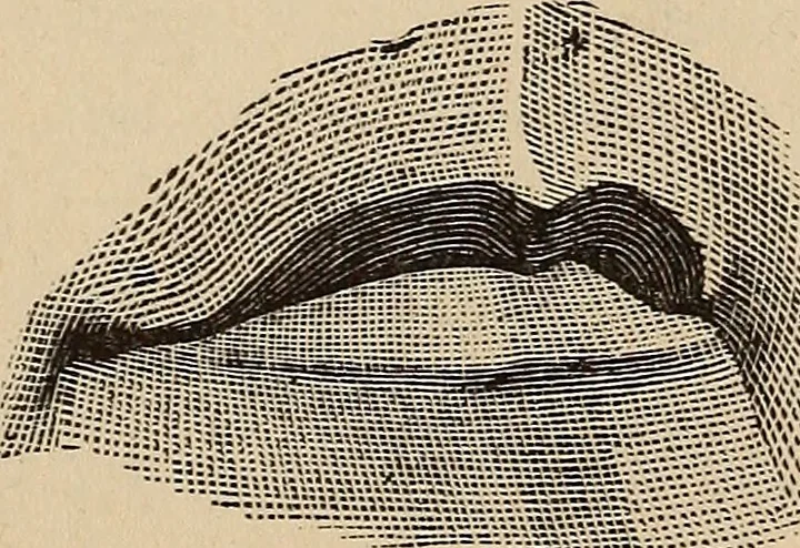 An illustration from Illustrated physiognomy, 1879, leaf 24