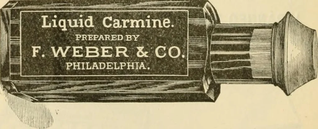 An illustration from Illustrated price list of artists' materials : comprising a complete list of painting and drawing materials for artists... materials for gilders, sign and coach-painters; etcher's and engravers' tools; also, materials for making wax and paper flowers., 1888, leaf 107