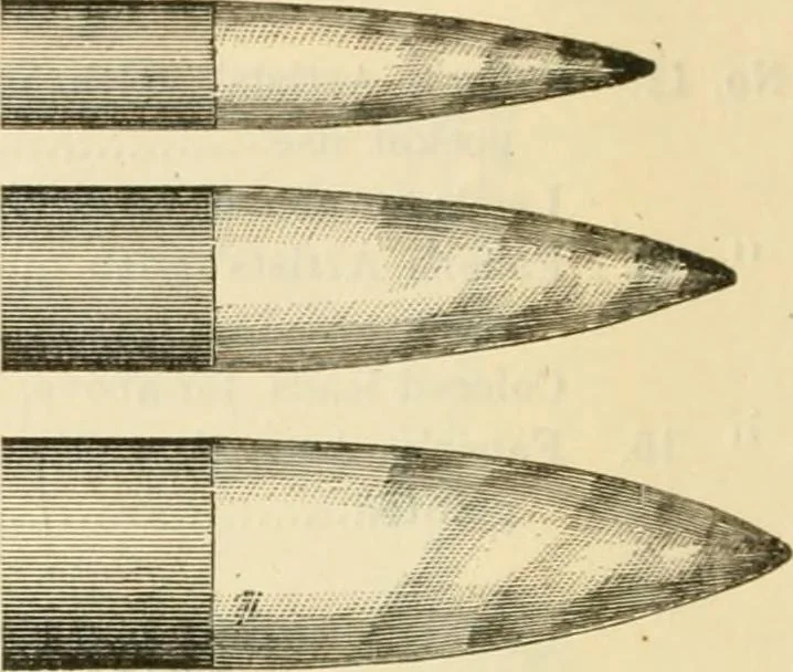 An illustration from Illustrated price list of artists' materials : comprising a complete list of painting and drawing materials for artists... materials for gilders, sign and coach-painters; etcher's and engravers' tools; also, materials for making wax and paper flowers., 1888, leaf 127