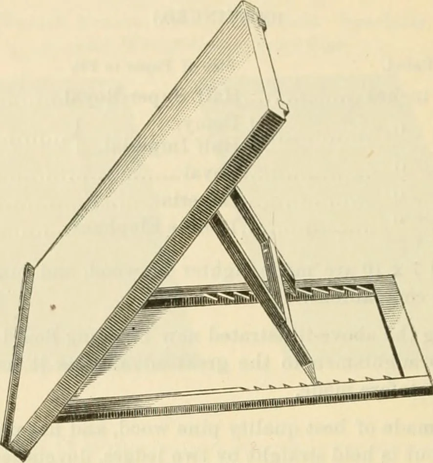 An illustration from Illustrated price list of artists' materials : comprising a complete list of painting and drawing materials for artists... materials for gilders, sign and coach-painters; etcher's and engravers' tools; also, materials for making wax and paper flowers., 1888, leaf 167