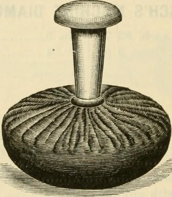 An illustration from Illustrated price list of artists' materials : comprising a complete list of painting and drawing materials for artists... materials for gilders, sign and coach-painters; etcher's and engravers' tools; also, materials for making wax and paper flowers., 1888, leaf 191