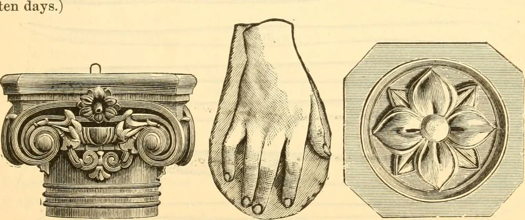 An illustration from Illustrated price list of artists' materials : comprising a complete list of painting and drawing materials for artists... materials for gilders, sign and coach-painters; etcher's and engravers' tools; also, materials for making wax and paper flowers., 1888, leaf 196