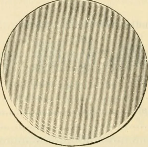 An illustration from Illustrated price list of artists' materials : comprising a complete list of painting and drawing materials for artists... materials for gilders, sign and coach-painters; etcher's and engravers' tools; also, materials for making wax and paper flowers., 1888, leaf 201