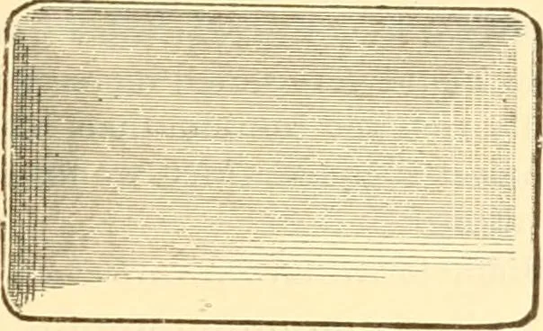 An illustration from Illustrated price list of artists' materials : comprising a complete list of painting and drawing materials for artists... materials for gilders, sign and coach-painters; etcher's and engravers' tools; also, materials for making wax and paper flowers., 1888, leaf 202