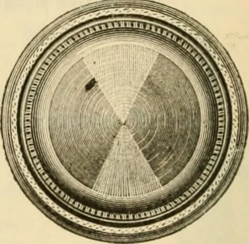 An illustration from Illustrated price list of artists' materials : comprising a complete list of painting and drawing materials for artists... materials for gilders, sign and coach-painters; etcher's and engravers' tools; also, materials for making wax and paper flowers., 1888, leaf 205