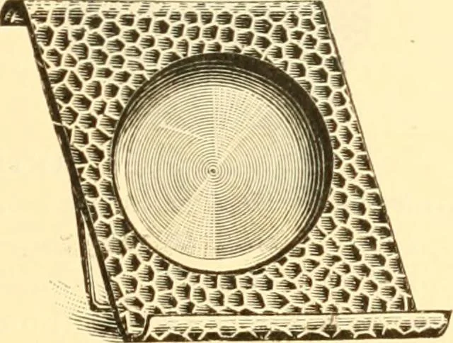 An illustration from Illustrated price list of artists' materials : comprising a complete list of painting and drawing materials for artists... materials for gilders, sign and coach-painters; etcher's and engravers' tools; also, materials for making wax and paper flowers., 1888, leaf 206