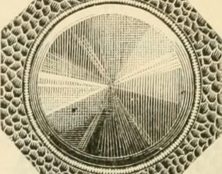 An illustration from Illustrated price list of artists' materials : comprising a complete list of painting and drawing materials for artists... materials for gilders, sign and coach-painters; etcher's and engravers' tools; also, materials for making wax and paper flowers., 1888, leaf 207