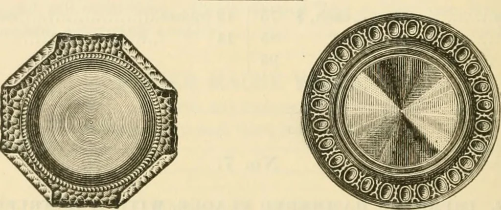 An illustration from Illustrated price list of artists' materials : comprising a complete list of painting and drawing materials for artists... materials for gilders, sign and coach-painters; etcher's and engravers' tools; also, materials for making wax and paper flowers., 1888, leaf 207