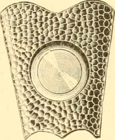 An illustration from Illustrated price list of artists' materials : comprising a complete list of painting and drawing materials for artists... materials for gilders, sign and coach-painters; etcher's and engravers' tools; also, materials for making wax and paper flowers., 1888, leaf 208