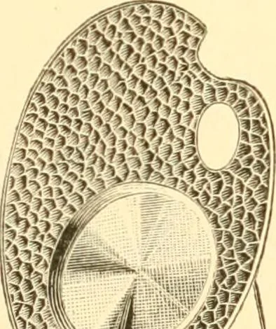 An illustration from Illustrated price list of artists' materials : comprising a complete list of painting and drawing materials for artists... materials for gilders, sign and coach-painters; etcher's and engravers' tools; also, materials for making wax and paper flowers., 1888, leaf 208