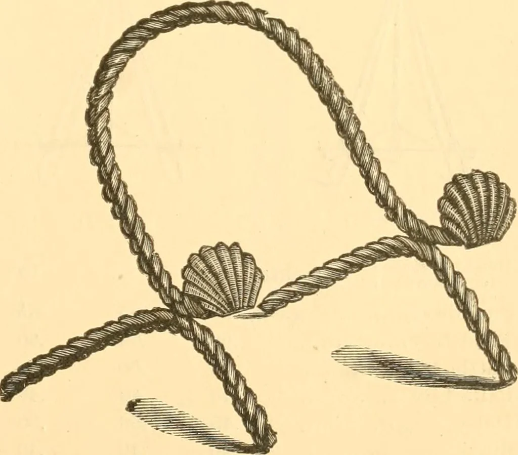 An illustration from Illustrated price list of artists' materials : comprising a complete list of painting and drawing materials for artists... materials for gilders, sign and coach-painters; etcher's and engravers' tools; also, materials for making wax and paper flowers., 1888, leaf 236