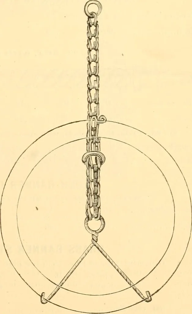 An illustration from Illustrated price list of artists' materials : comprising a complete list of painting and drawing materials for artists... materials for gilders, sign and coach-painters; etcher's and engravers' tools; also, materials for making wax and paper flowers., 1888, leaf 238