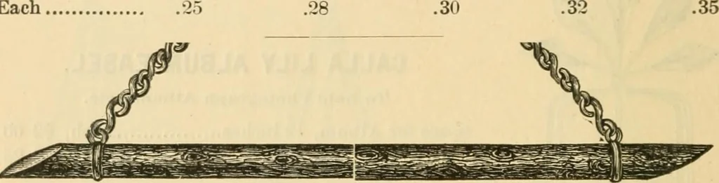 An illustration from Illustrated price list of artists' materials : comprising a complete list of painting and drawing materials for artists... materials for gilders, sign and coach-painters; etcher's and engravers' tools; also, materials for making wax and paper flowers., 1888, leaf 239