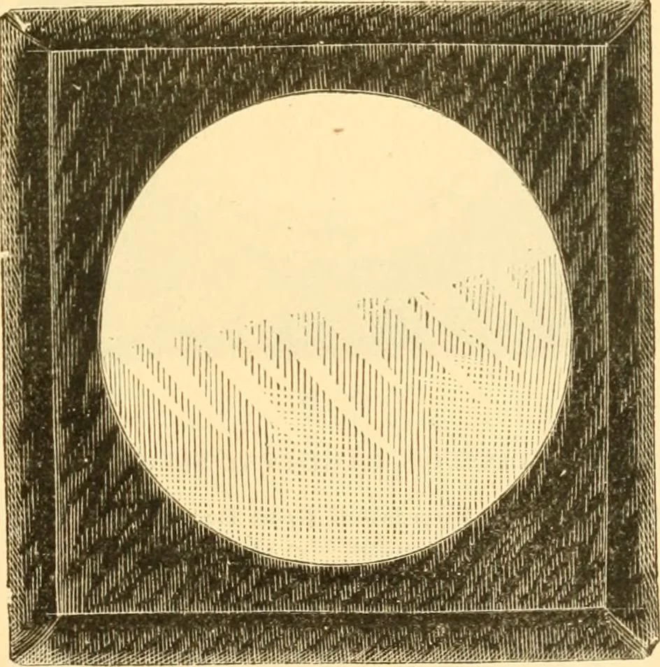 An illustration from Illustrated price list of artists' materials : comprising a complete list of painting and drawing materials for artists... materials for gilders, sign and coach-painters; etcher's and engravers' tools; also, materials for making wax and paper flowers., 1888, leaf 240