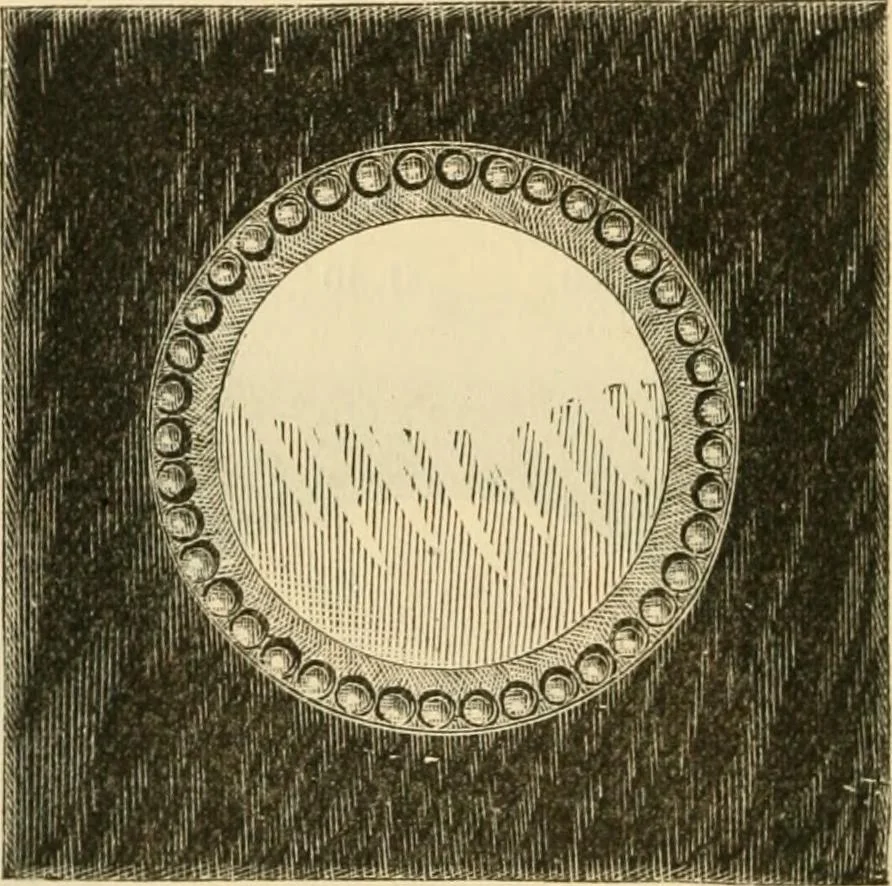An illustration from Illustrated price list of artists' materials : comprising a complete list of painting and drawing materials for artists... materials for gilders, sign and coach-painters; etcher's and engravers' tools; also, materials for making wax and paper flowers., 1888, leaf 241