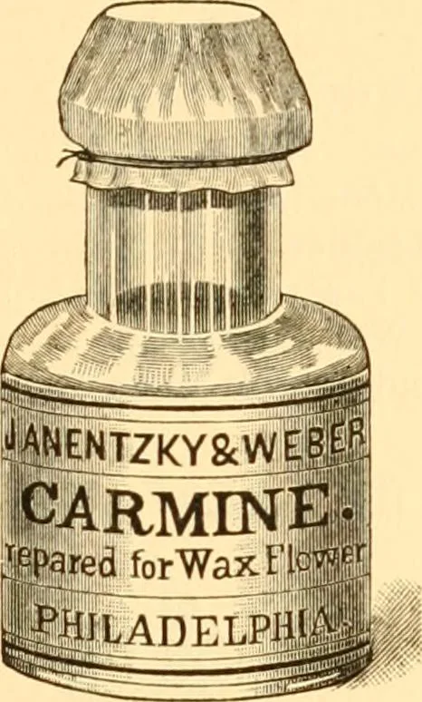 An illustration from Illustrated price list of artists' materials : comprising a complete list of painting and drawing materials for artists... materials for gilders, sign and coach-painters; etcher's and engravers' tools; also, materials for making wax and paper flowers., 1888, leaf 282