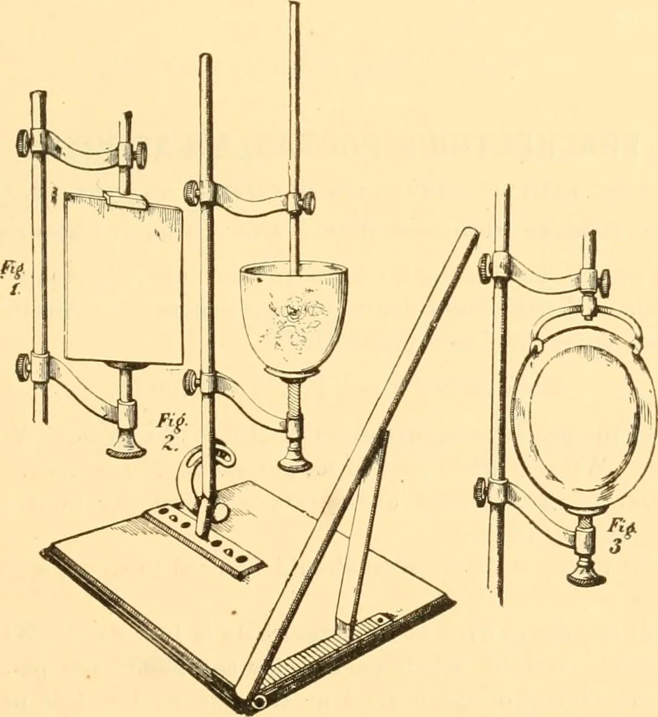 An illustration from Illustrated price list of artists' materials : comprising a complete list of painting and drawing materials for artists... materials for gilders, sign and coach-painters; etcher's and engravers' tools; also, materials for making wax and paper flowers., 1888, leaf 56