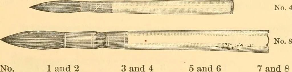 An illustration from Illustrated price list of artists' materials : comprising a complete list of painting and drawing materials for artists... materials for gilders, sign and coach-painters; etcher's and engravers' tools; also, materials for making wax and paper flowers., 1888, leaf 58