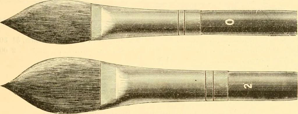 An illustration from Illustrated price list of artists' materials : comprising a complete list of painting and drawing materials for artists... materials for gilders, sign and coach-painters; etcher's and engravers' tools; also, materials for making wax and paper flowers., 1888, leaf 76